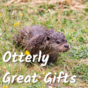 Otterly Great Gifts