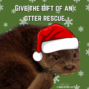 Give The Gift Of An Otter Rescue