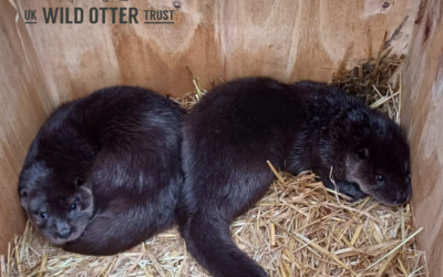 2024 has started busy!