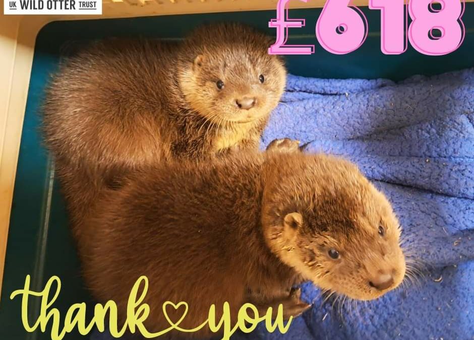 Otter cub fundraiser success!