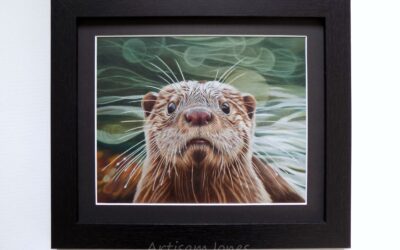 ArtisamJones Artwork Silent Auction In aid of UK Wild Otter Trust