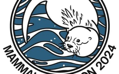 Shortlisted for Mammal Champion 2024