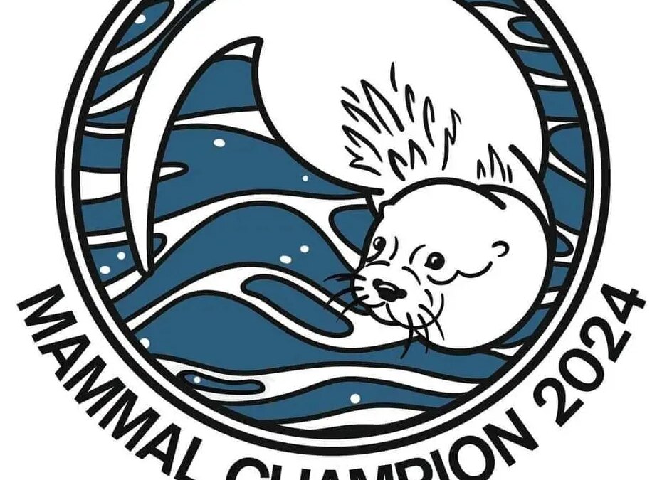Shortlisted for Mammal Champion 2024