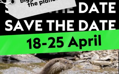 Coming soon – Spring Auction & Fundraiser!!! 🌸 🏵️ 🪷