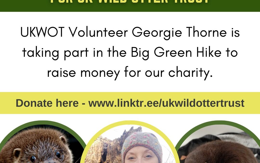 oTTers ’24 (Team Thorne) walking for UK Wild Otter Trust