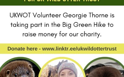 oTTers ’24 (Team Thorne) walking for UK Wild Otter Trust