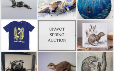 UKWOT Spring Auction