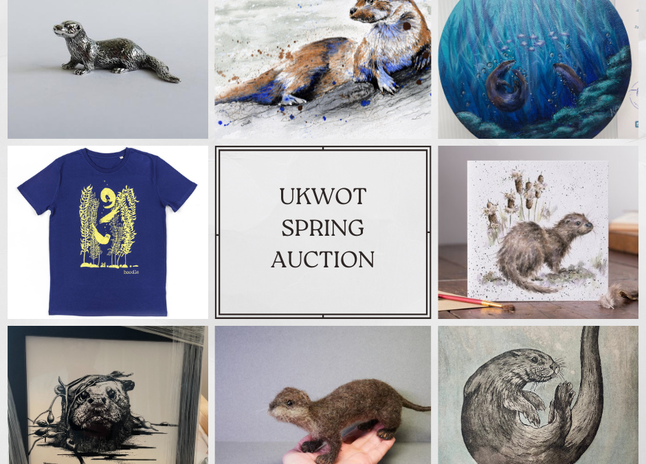 UKWOT Spring Auction