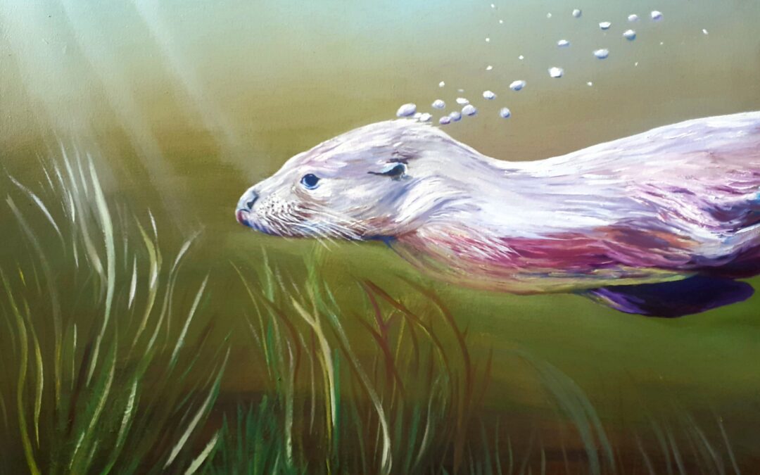 New Online Shop Product – Tranquil Otter Signed Fine Art Print