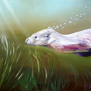 Tranquil Otter (signed fine art print) by Marianna Keen