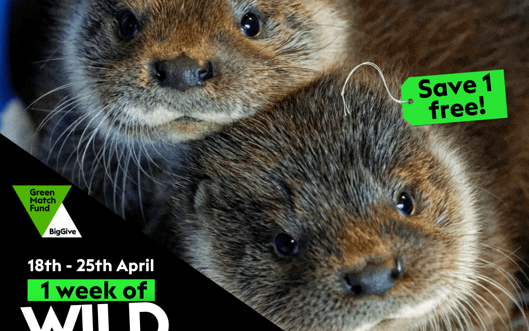 One week of wild savings!