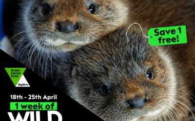 One week of wild savings!