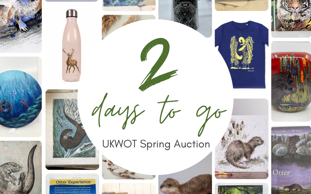 2 days to go!! 🌸💐