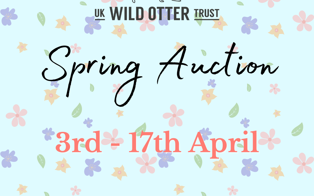 Spring Auction – Now Live!