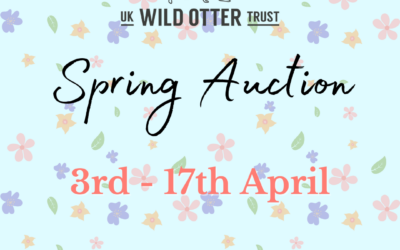 Spring Auction – Now Live!