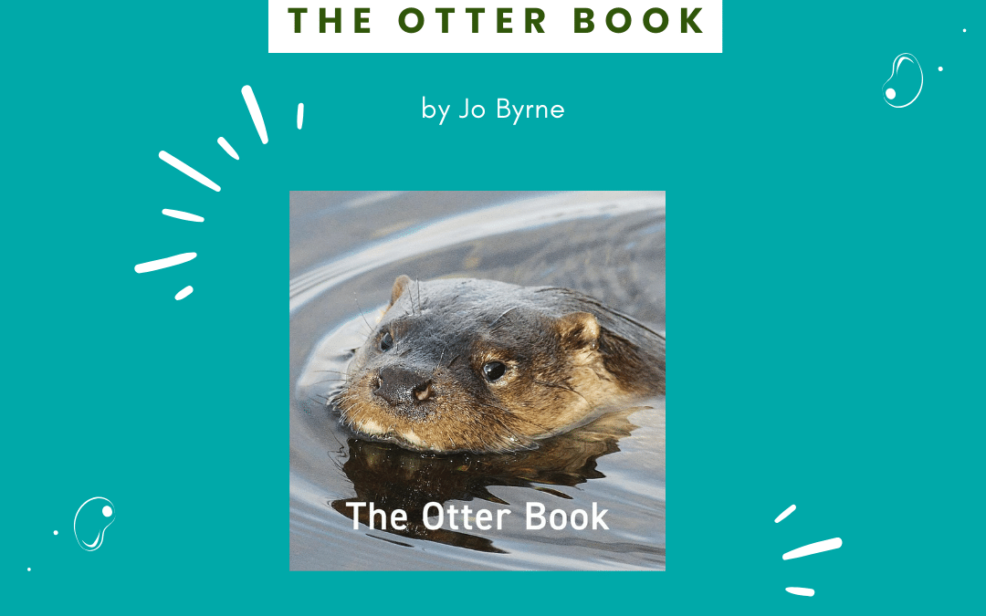 New Online Shop Product – The Otter Book by Jo Byrne 📖