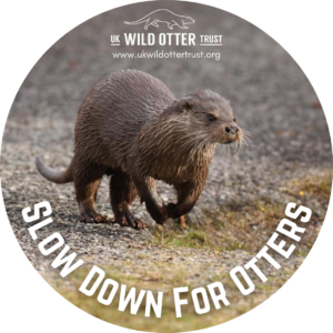 Slow Down For Otters Car Sticker