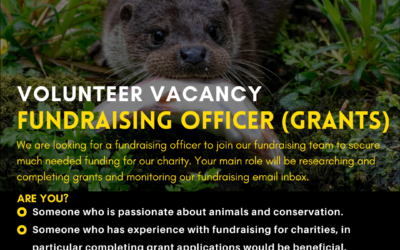 Join our Fundraising Team! 🤝