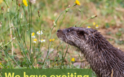 It’s finally time for us to share our exciting news! 🥳