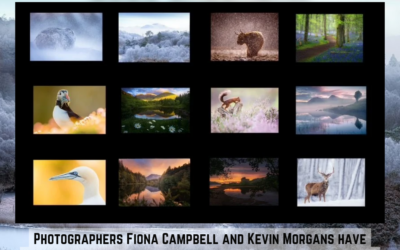 2025 Calendar 🗓️