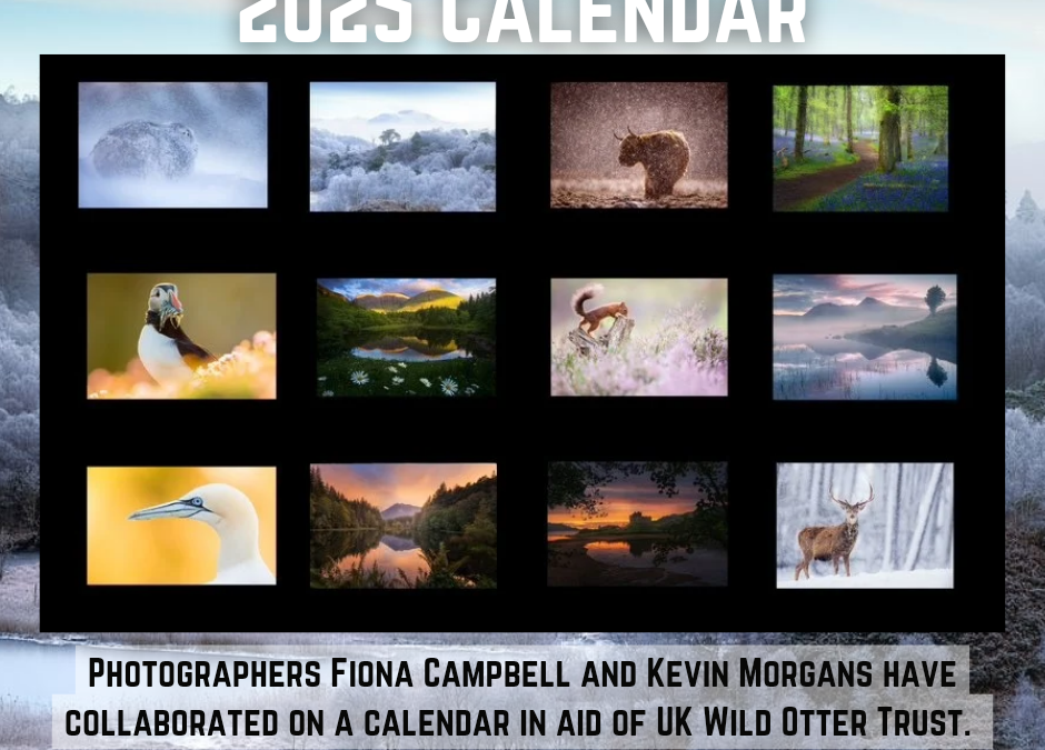 2025 Calendar 🗓️