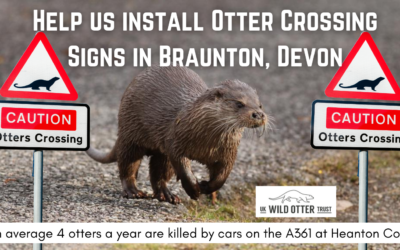 Help UKWOT install Otter Crossing Signs in Braunton, Devon