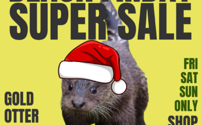 BLACK FRIDAY SALE! 🏷️