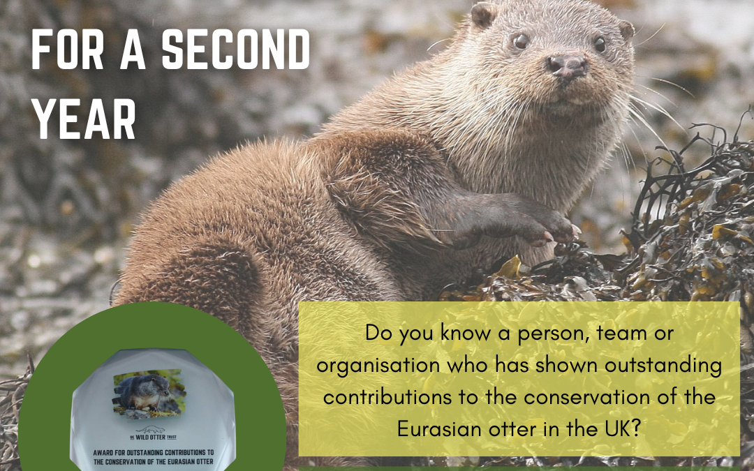 The UKWOT award is back for a second year! 🥳