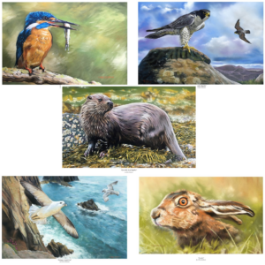 Chris Dobson A3 Signed Print - Various