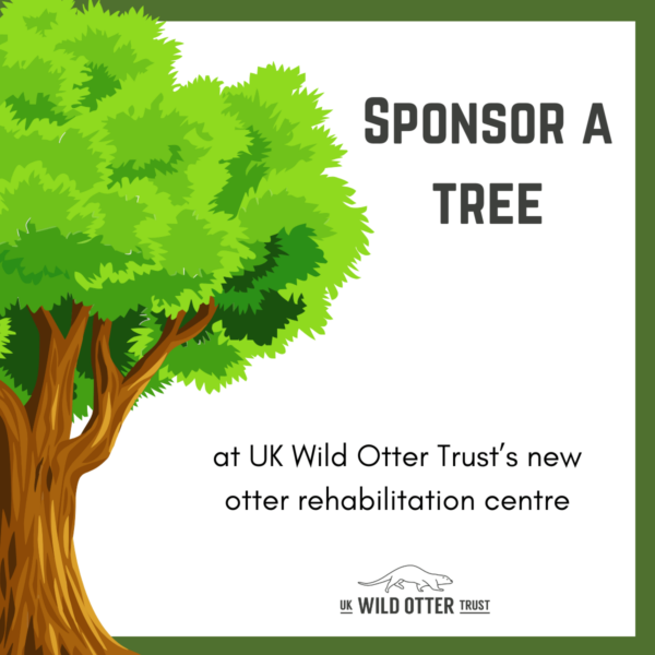 Sponsor a Tree