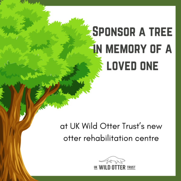 Sponsor a Tree in Memory of a Loved One