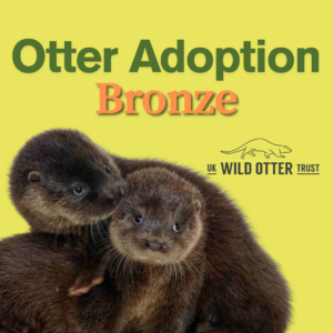 Otter Adoption - Bronze