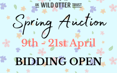 UKWOT Spring Auction