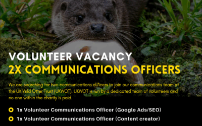 Volunteer Vacancies April 2025