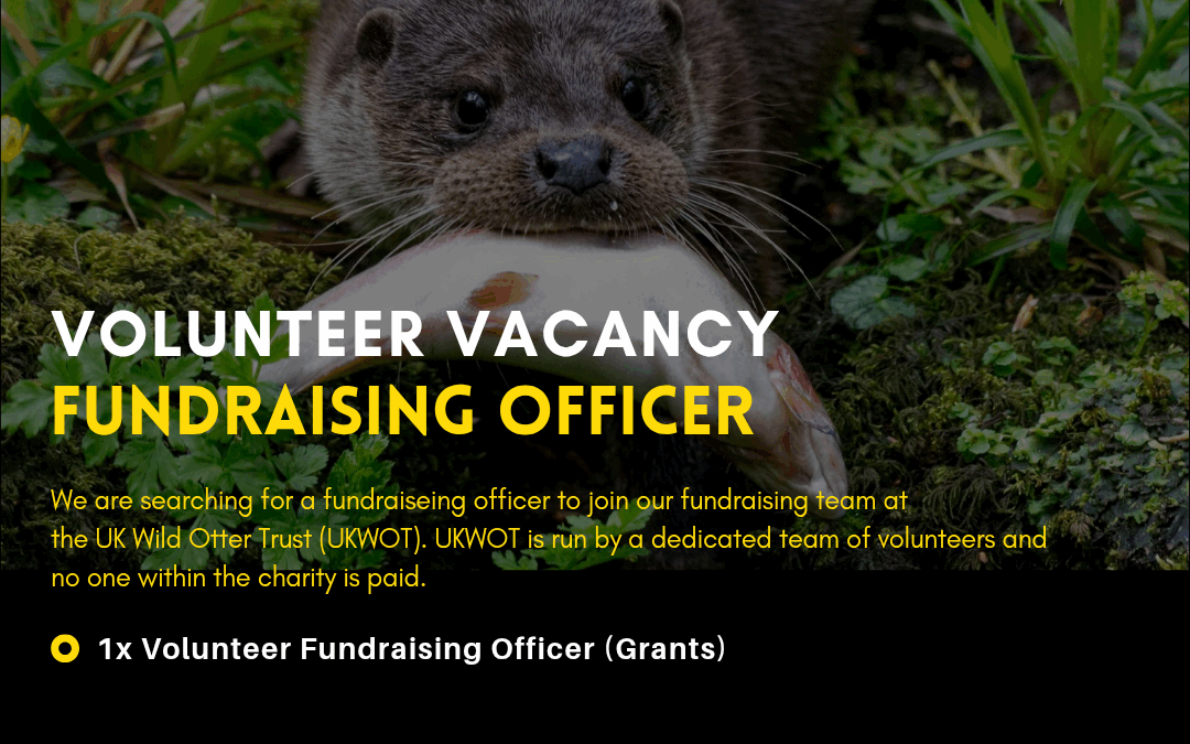 Fundraising Officer (Grants) Volunteer Vacancy