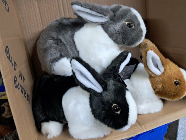 Rabbit Cuddly Toy