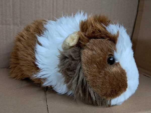 Guinea Pig Cuddly Toy