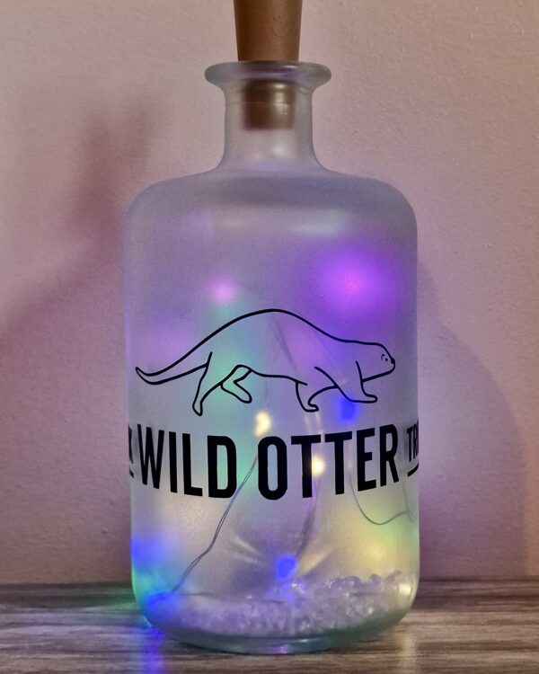 UKWOT Bottle Lamps - Image 2