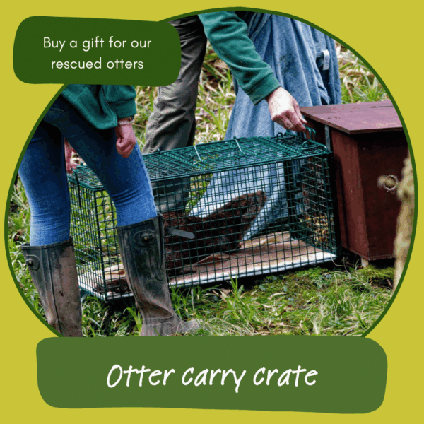 Give the gift of an otter carry crate