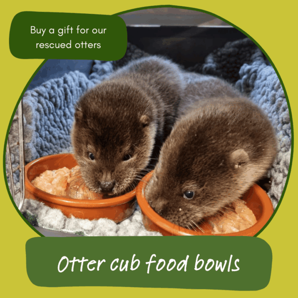 Give the gift of otter cub food bowls