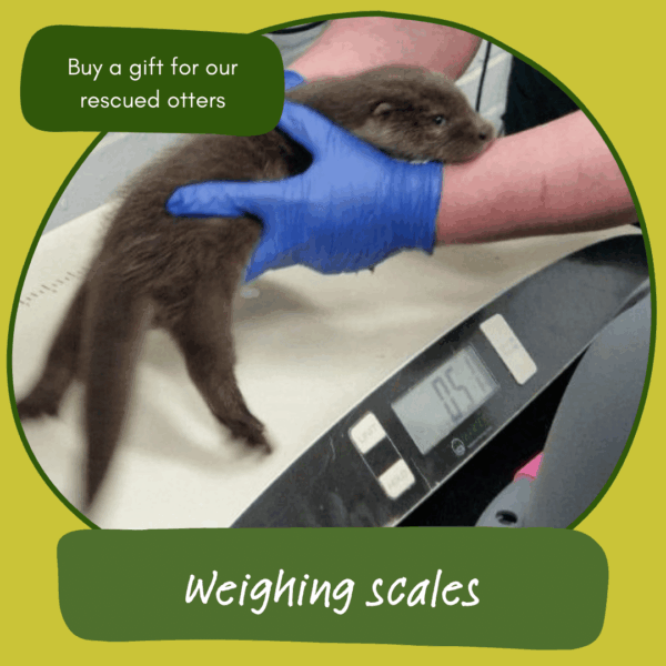 Give the gift of weighing scales