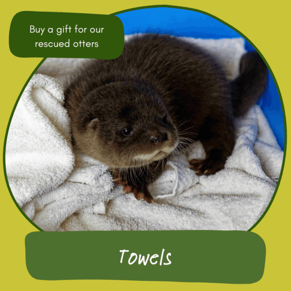 Give the gift of towels