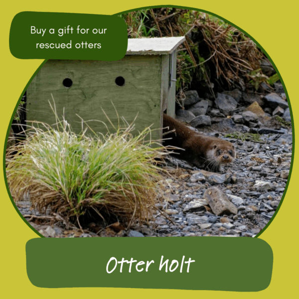 Give the gift of an otter holt