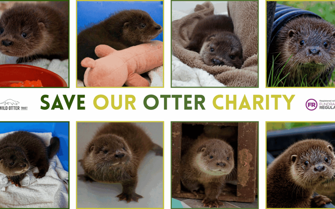 Save Our Charity: Statement from CEO Dave Webb