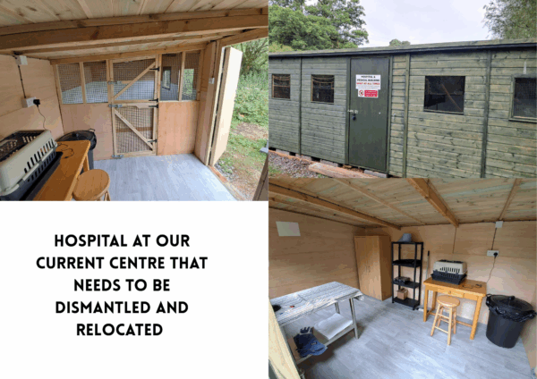 Save Our Charity: Sponsor Our New Otter Hospital - Image 3