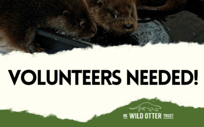 Volunteer Vacancy – Education Officer