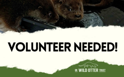 Personal Assistant to CEO Volunteer Vacancy