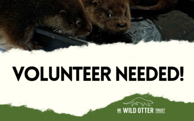 Fundraising Officer – Gift Aid Volunteer Vacancy